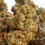 find cannabis in Bangkok