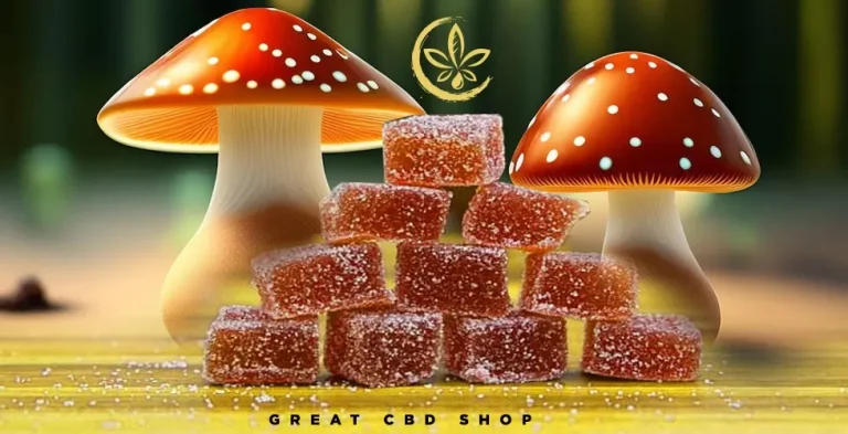 magic mushroom gummies