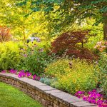 All Seasons Maintenance landscaping