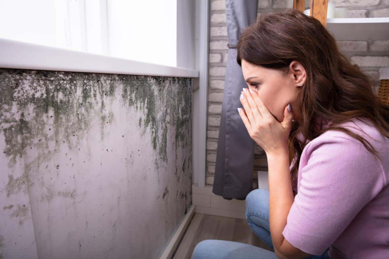 Why Mold Inspection Is Essential for Maintaining a Healthy Home Environment?