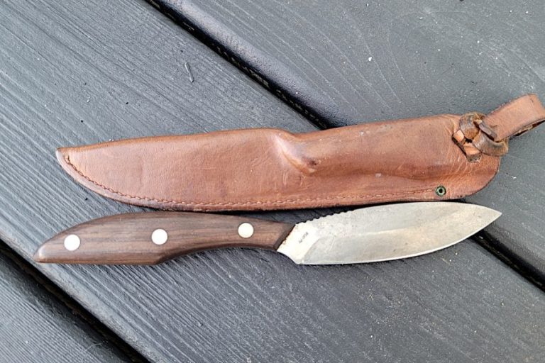 Why Certain Everyday Tools Quietly Become Part Of Daily Life